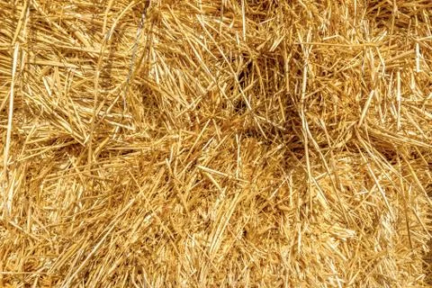Bright hay background Stock Photos