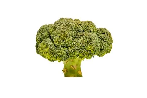 Bright head of broccoli, close-up 库存照片