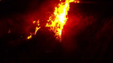 Bright Hearths Fire Absorbing Dry Grass on the Field in the Dark Stock Footage 66073884