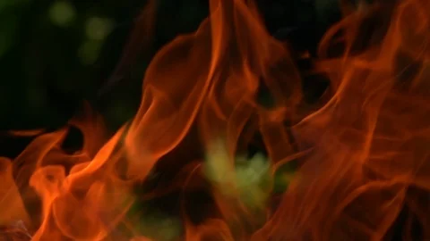 Bright high-volume fire against dark green blur background. Vidéo 109044705