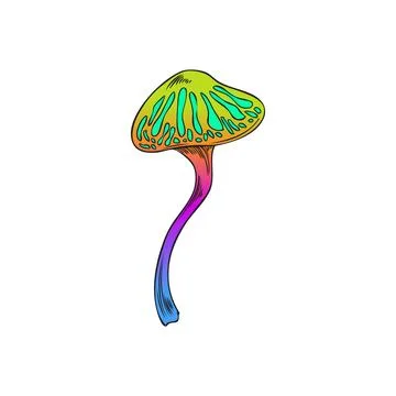 Bright hippie magic toadstool mushroom hand drawn vector illustration isolate 스톡 일러스트