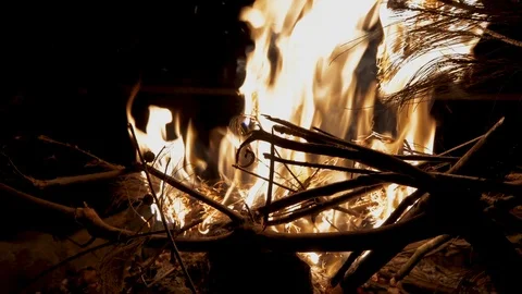 Bright hot campfire on a dark, burning firewood Stock Footage 119007197