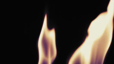 Bright hot fire burning on a black background Stock Footage 152483318