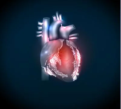 Bright human heart Stock Illustration