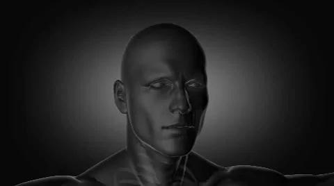 Bright Ideas Stock After Effects