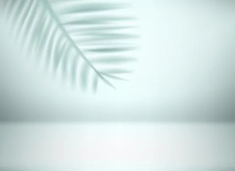 Bright interior with leaf shadow. 3d vector illustration with shadow overlay  Stock Illustration
