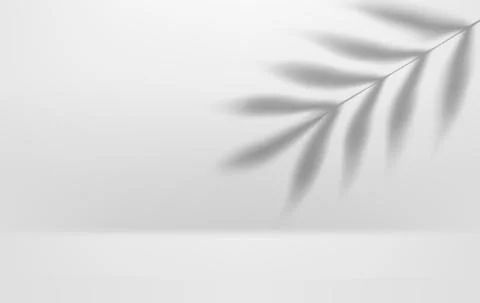 Bright interior with leaf shadow. 3d vector illustration with shadow overlay  Illustrazione stock