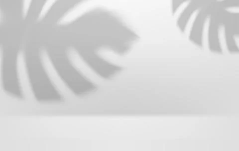 Bright interior with leaf shadow. 3d vector illustration with shadow overlay  Stock Illustration