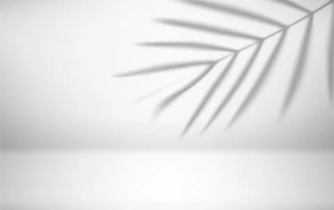 Bright interior with shadow of palm leaves on the wall. 3d vector illustratio Stock Illustration