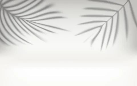 Bright interior with shadow of palm leaves on the wall. 3d vector illustratio Stock Illustration