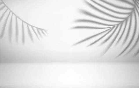 Bright interior with shadow of palm leaves on the wall. 3d vector illustratio Stock Illustration