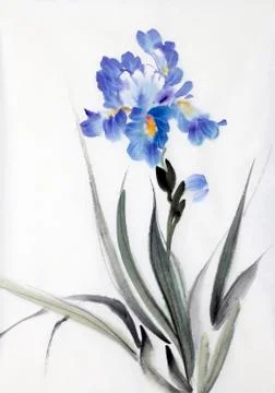Bright iris flower Illustrazione stock