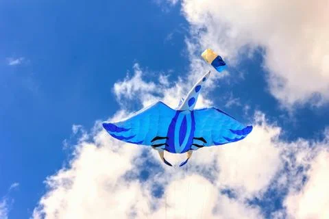Bright kites floating in the blue sky, Stock Photos