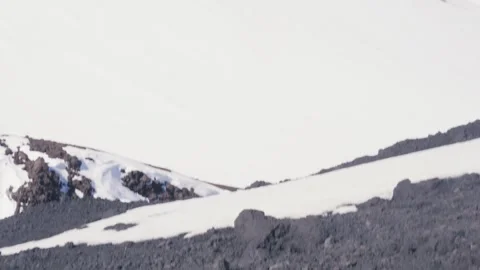 Bright Ladybug on Dark Volcanic Rock with Snowy Mountain Background Video stock 340555708