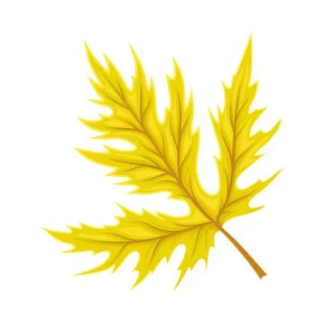 Bright Leaf Element Isolated on White Background Vector Element Illustrazione stock