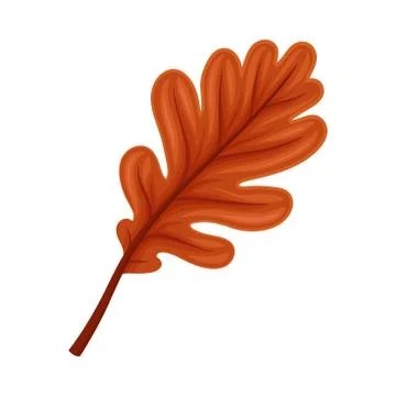 Bright Leaf Element Isolated on White Background Vector Element Stock Illustration