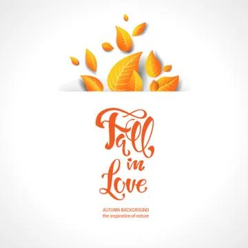 Bright leaves fall card Stock Illustration