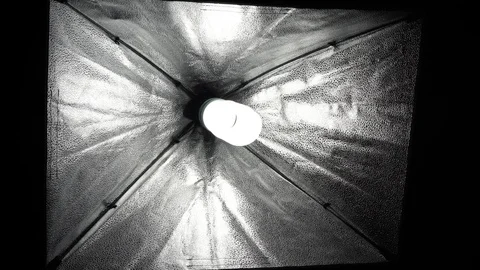 Bright light bulb. Inside a soft box Stock Footage 124643562