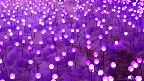Bright light bulbs burn in different colors in winter on the snow. Stock Footage 173507031