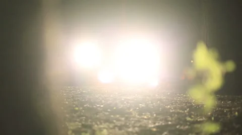 Bright light of car headlights at night in the forest Stock Footage 65296014