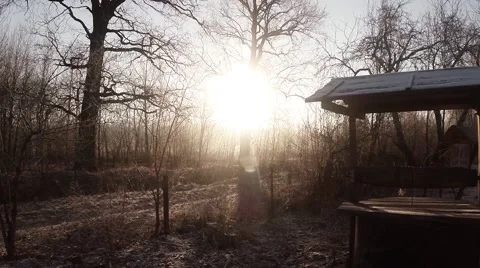 Bright Light Falls Through The Bare Branches of Trees on Small Well in The Stock Footage 59758455