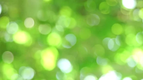Bright light green bokeh background, sunshine through the treetop leaves Stock Footage 232205805
