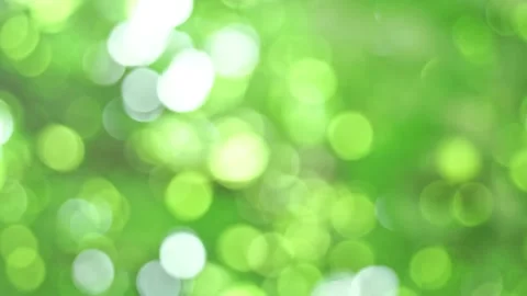 Bright light green bokeh background, sunshine through the treetop leaves Stock Footage 232205934