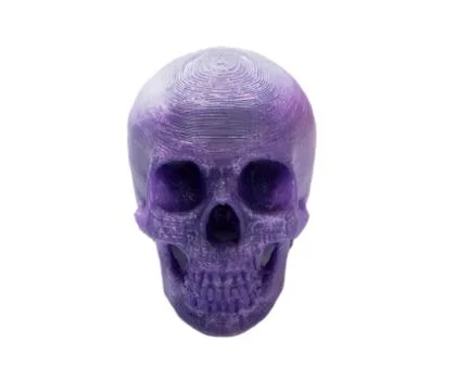 Bright light purple object in shape of human skull toy printed on 3d printer Stock Photos