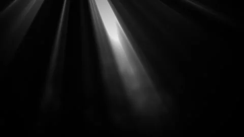 Bright Light Rays Intro Reveal 스톡 동영상 345259634