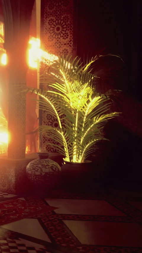 Bright light shines on a plant next to a decorative pot in a room Stock Footage 332218282