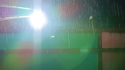 Bright light shines through falling rain against a dark background, perfect for  Video stock 333117028