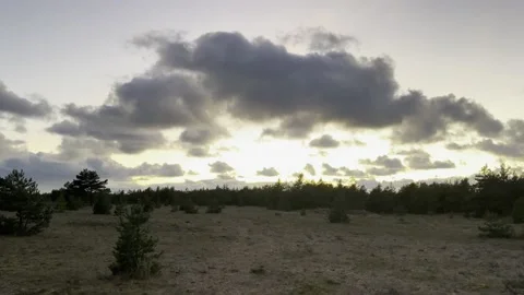 Bright light at sunset with grey clouds over small trees Stock Footage 219554731
