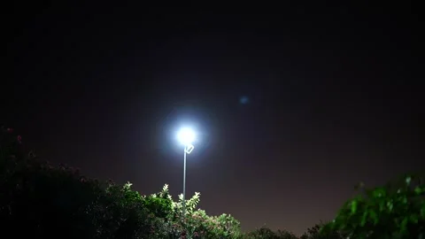Bright Light in Tropical Night Stock Footage 306016397