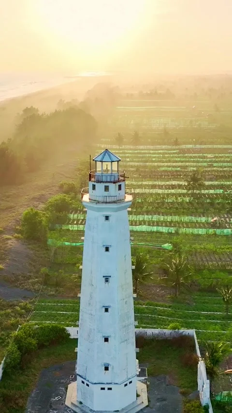 Bright lighthouse and tropical fields in morning light Stock-Footage 335432446