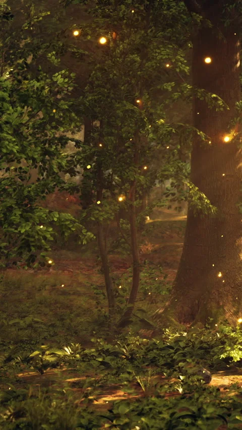 Bright lights appear in a forest during the evening near tall trees Stock Footage 342193303