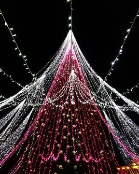 Bright lights cover a large tree during a holiday celebration at night in a.. Foto stock