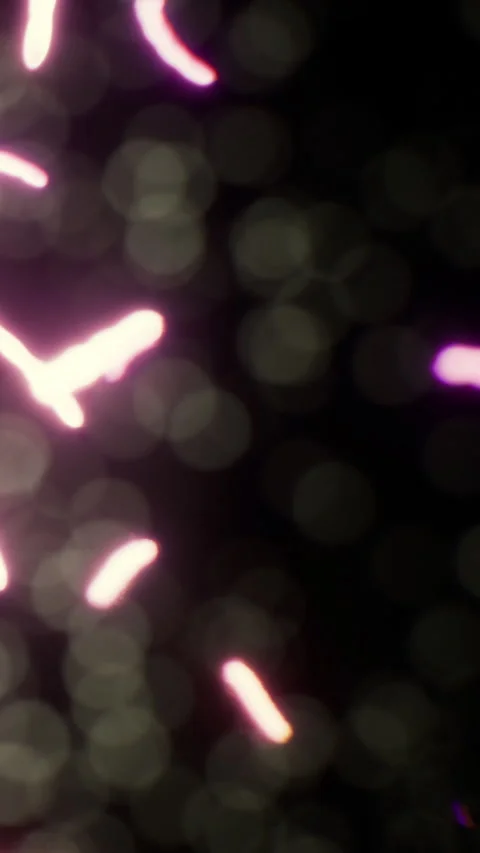 Bright lights create patterns in dark environment at night event Stock Footage 336025685