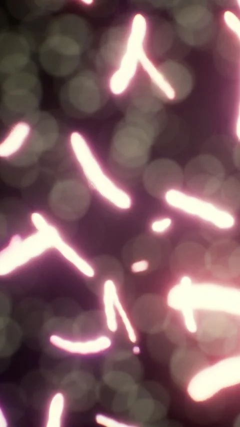 Bright lights dance in a pattern during a night celebration event in a city Stock Footage 336172969
