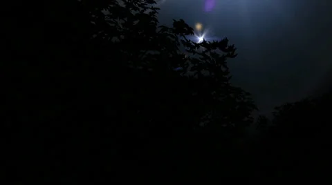 Bright lights over tree tops Stock Footage 35470291