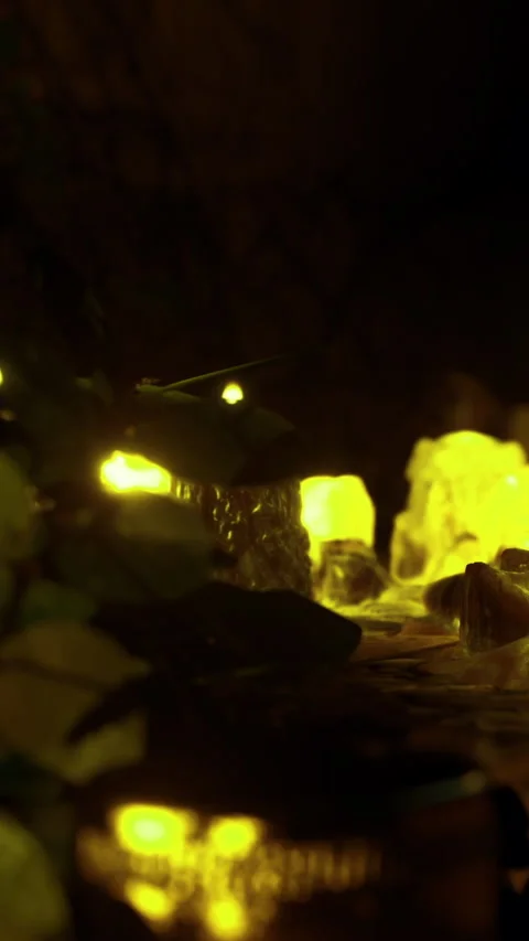 Bright lights shine on rocks and plants in dark setting at night Stock Footage 337000405