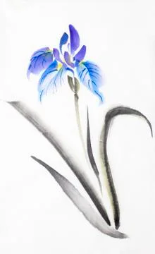 Bright lilac blue iris Stock Illustration