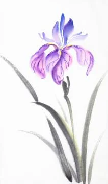 Bright lilac iris Stock Illustration