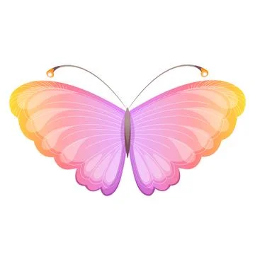 Bright magic colorful butterfly. Vector isolated illustration. Stock Illustration