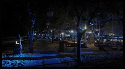 Bright magic lights in the park 動画素材 64628224