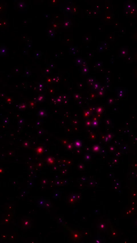 A bright, magical flash of glowing lights. Stock Footage 328467816