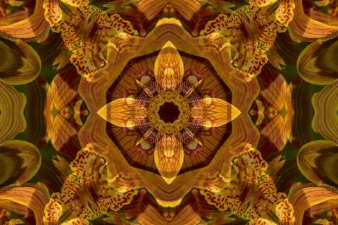 Bright mandala pattern with flower-shaped elements Stock Photos