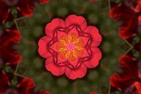 Bright mandala pattern with a pink flower in the blurred green background Stock Photos