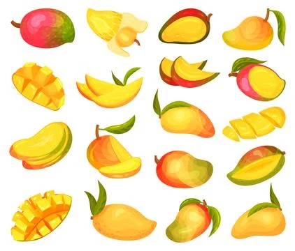 Bright Mango Fruit Whole, Sliced and in Cubes Big Vector Set 스톡 일러스트