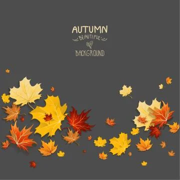 Bright maple leaves on dark background Stock Illustration