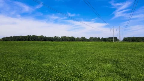 Bright Meadow, Bright Sky with Electrical Towers Stock Footage 221205992